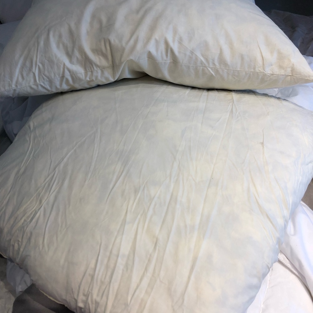 Duck feather pillows with covers